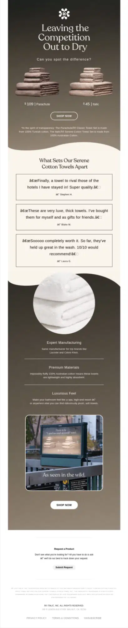 Email Newsletter Ideas - Customer Reviews Like Italic