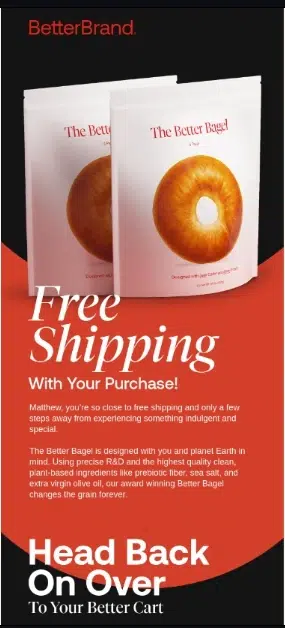 Ecommerce Marketing Strategies - Cart Abandoned Email Like Better Brand