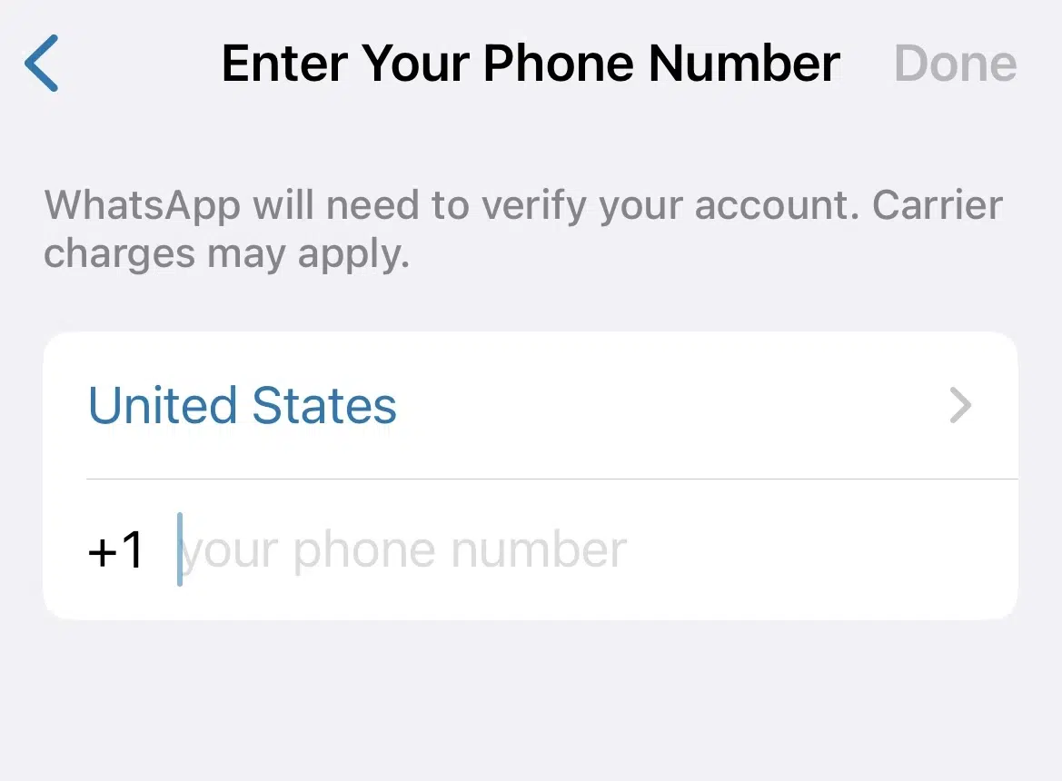 Creating a WhatsApp Business Profile - Enter Number