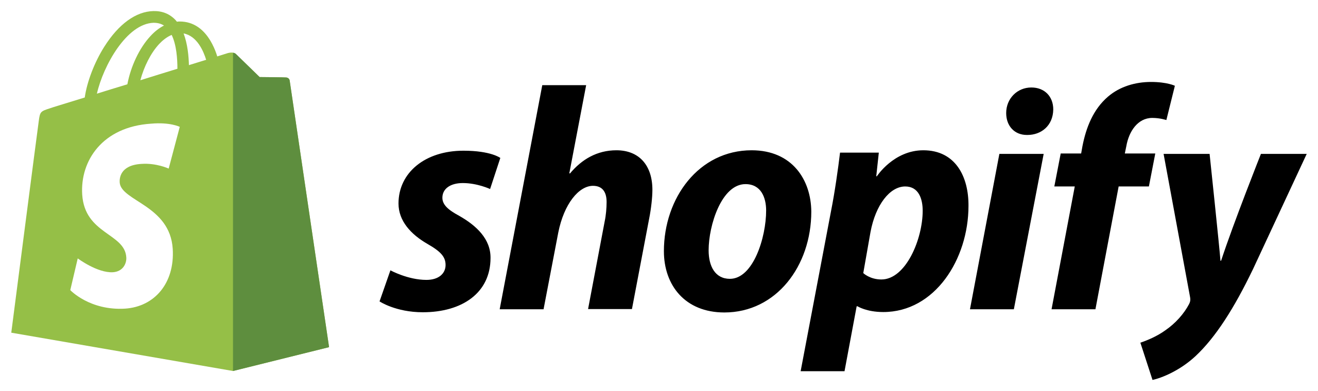 Shopify Logo - Lifesight
