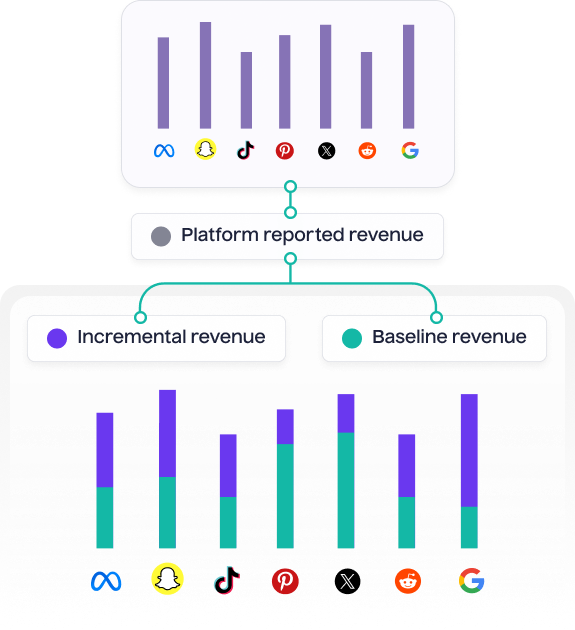 The future of measurement is here 1 - Lifesight
