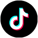 Tiktok Integration - Lifesight