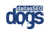 Dallas SEO Dogs