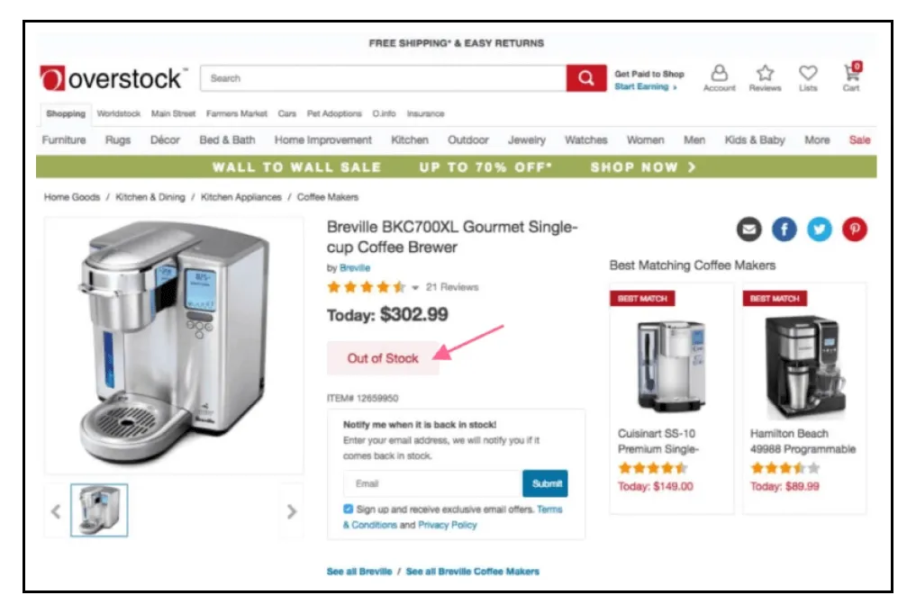 Ecommerce Customer Pain Point - Overstock Back in Stock Notification