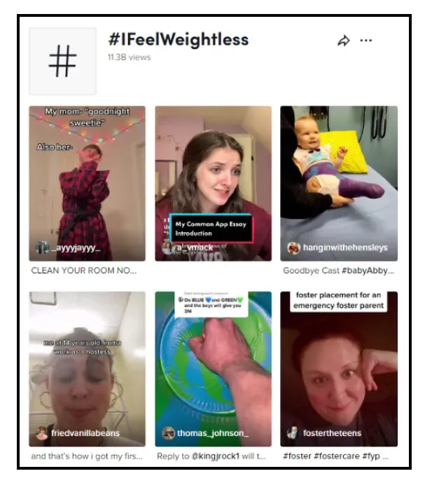 leverage different types of tiktok ecommerce ads sponsored hashtag challenge 791709b5ba - Lifesight