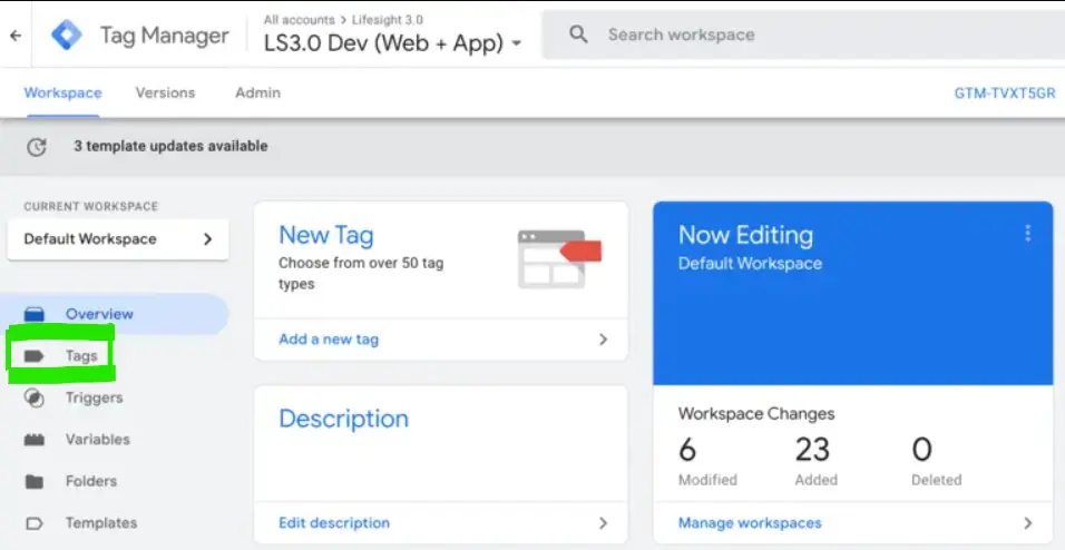 tag section in google tag manager - Lifesight